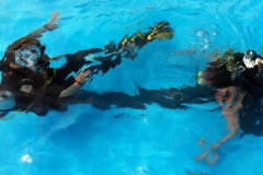 szczliwice_na_powierzchni_4_sierpnia_2013_20130807_1798069526