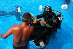 szczliwice_na_powierzchni_4_sierpnia_2013_20130807_1815822869