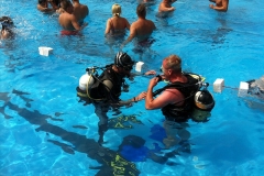 szczliwice_na_powierzchni_4_sierpnia_2013_20130807_1821609801