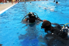 szczliwice_na_powierzchni_4_sierpnia_2013_20130807_1888918979