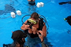 szczliwice_na_powierzchni_4_sierpnia_2013_20130807_1904926909