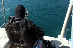 zakrz-07-2013-2_20130909_1294431462