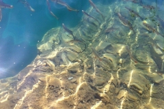 zakrz-07-2013-2_20130909_1767159199