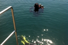 zakrz-07-2013-2_20130909_1772696224