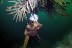 DCIM\100GOPRO\GOPR2445.