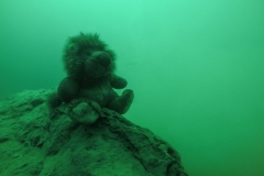 DCIM\100GOPRO\GOPR2451.