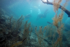 DCIM\100GOPRO\GOPR2480.